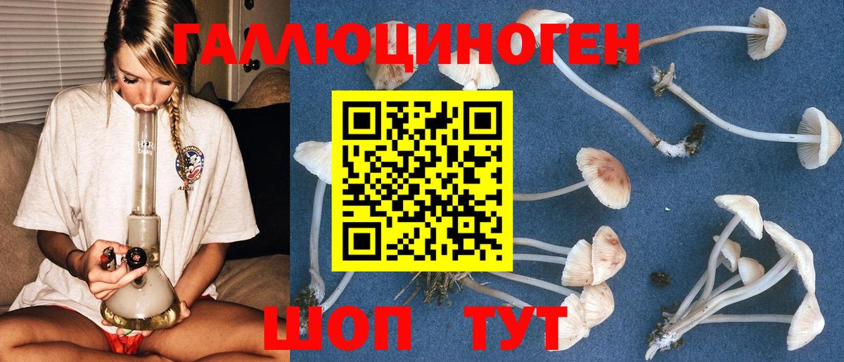 Псилоцибиновые грибы мухоморы Туймазы