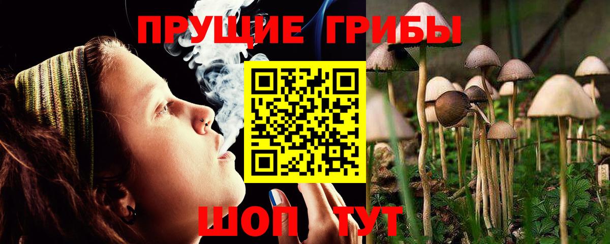 наркота  Вход с VPN  Туймазы  Псилоцибиновые грибы мухоморы  Галлюциногенные грибы Cubensis 